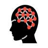 Neurons
